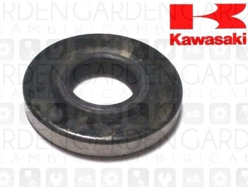 Kawasaki 92049-2089 Paraolio albero motore