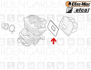 Oleomac, Efco 50170031 Guarnizione scarico