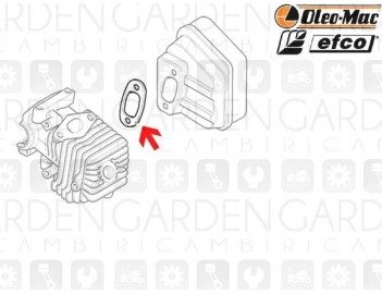 Oleomac, Efco 50160122 Guarnizione scarico